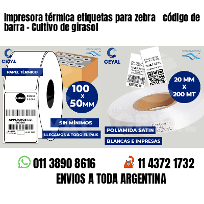 Impresora térmica etiquetas para zebra  código de barra - Cultivo de girasol
